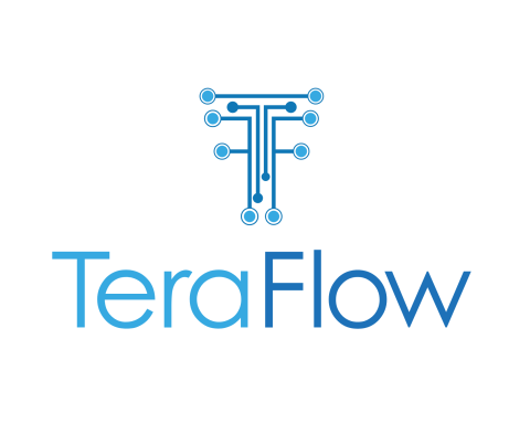 TeraFlow Logo