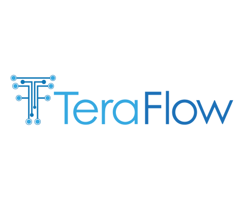 TeraFlow Logo