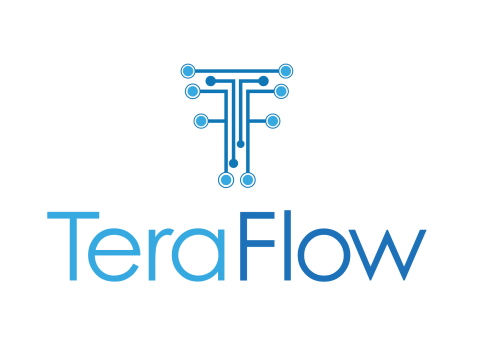 TeraFlow Logo