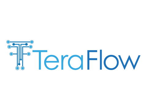 TeraFlow Logo